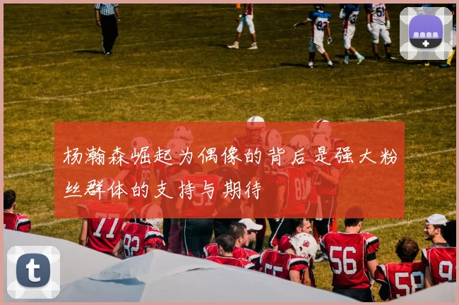 杨瀚森崛起为偶像的背后是强大粉丝群体的支持与期待