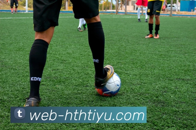 多媒体互动体验